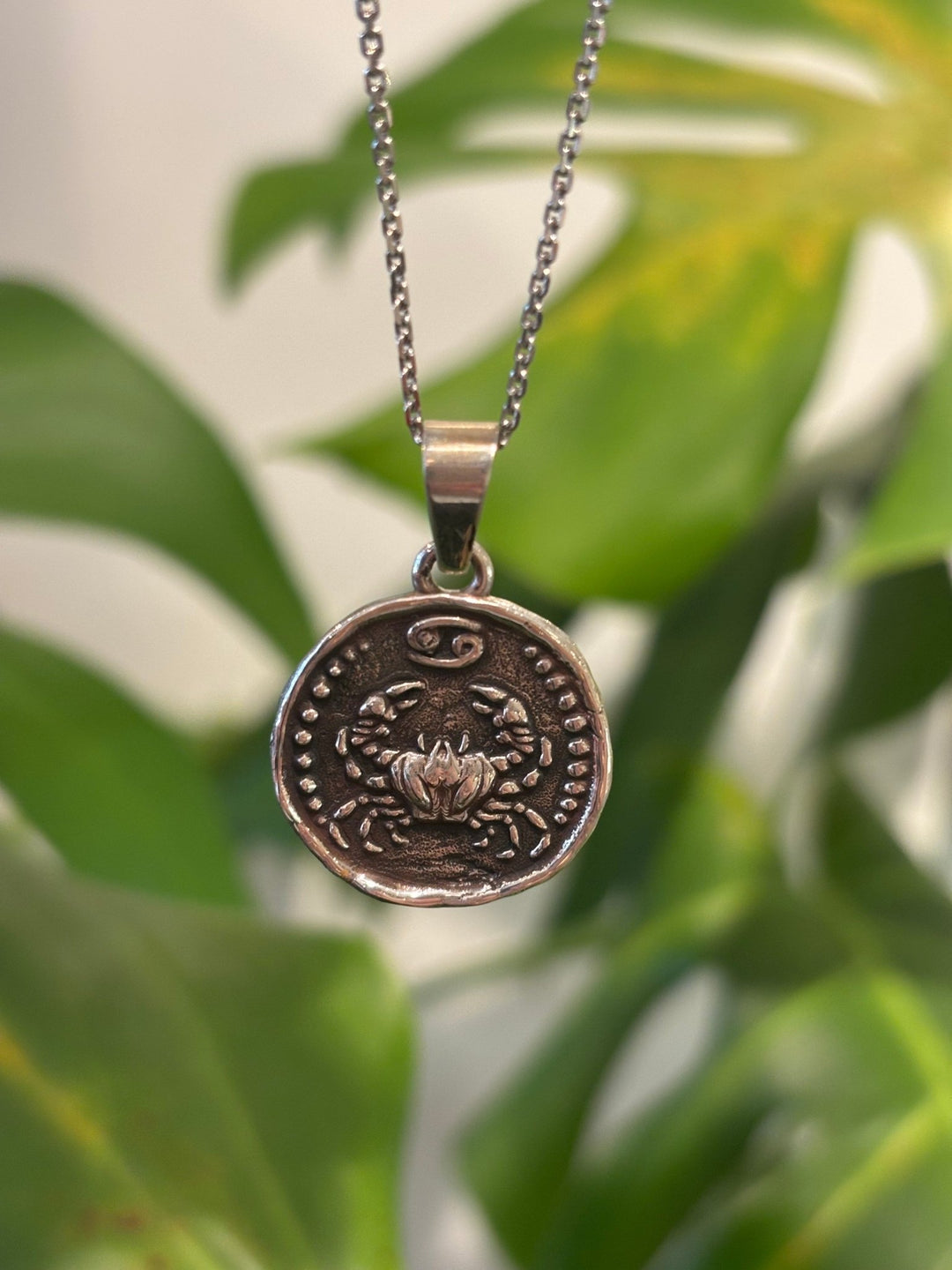 New Old World Zodiac Coin Pendant - Capricorn - Kingdom Jewelry
