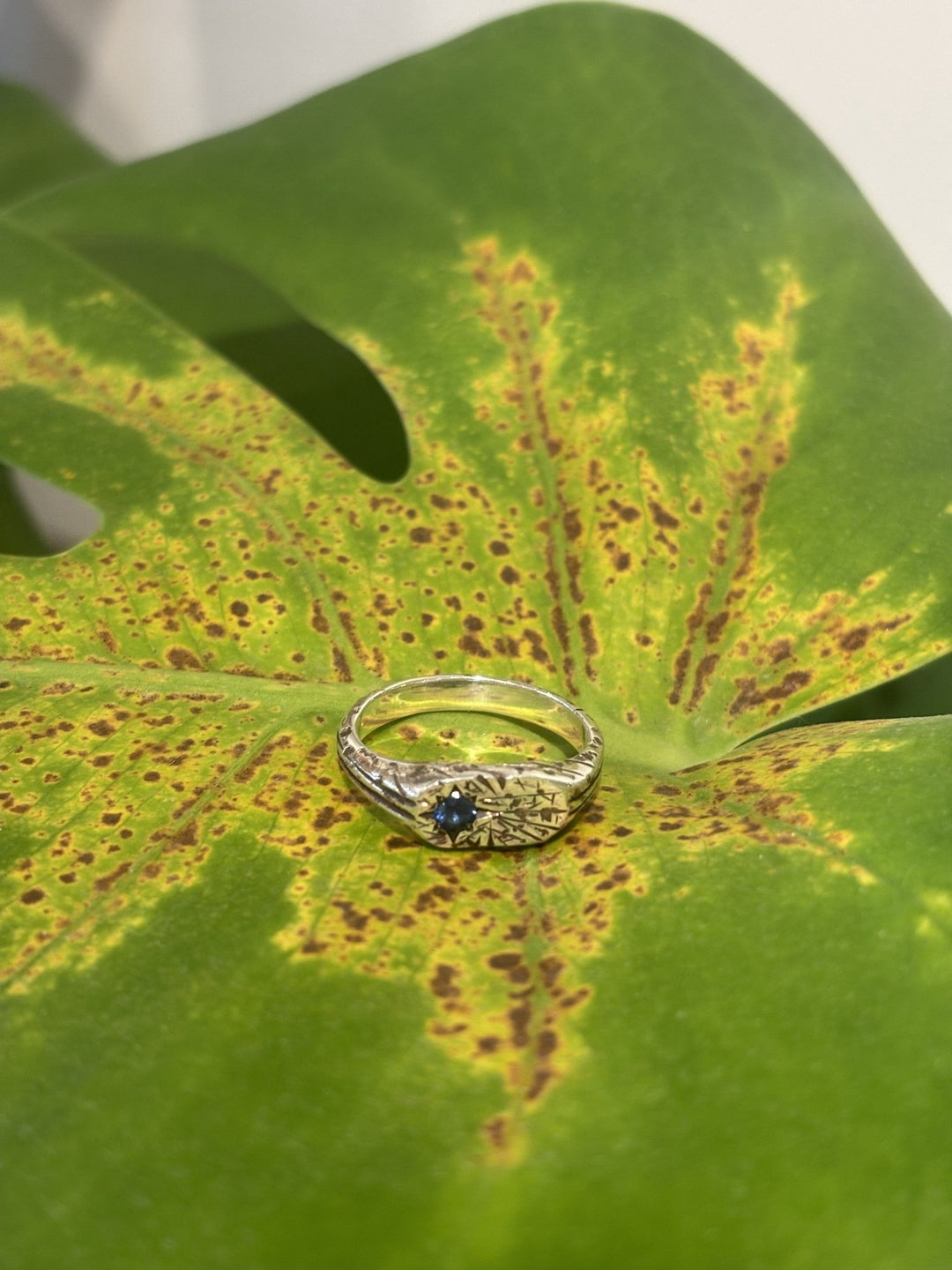 Silver Petite "Aster" Silver Ring - Kingdom Jewelry