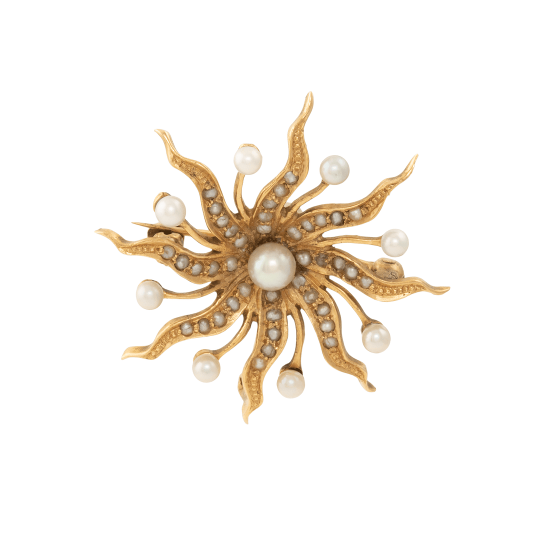 14k Gold x Star Seed Pearl Hybrid Brooch - Kingdom Jewelry