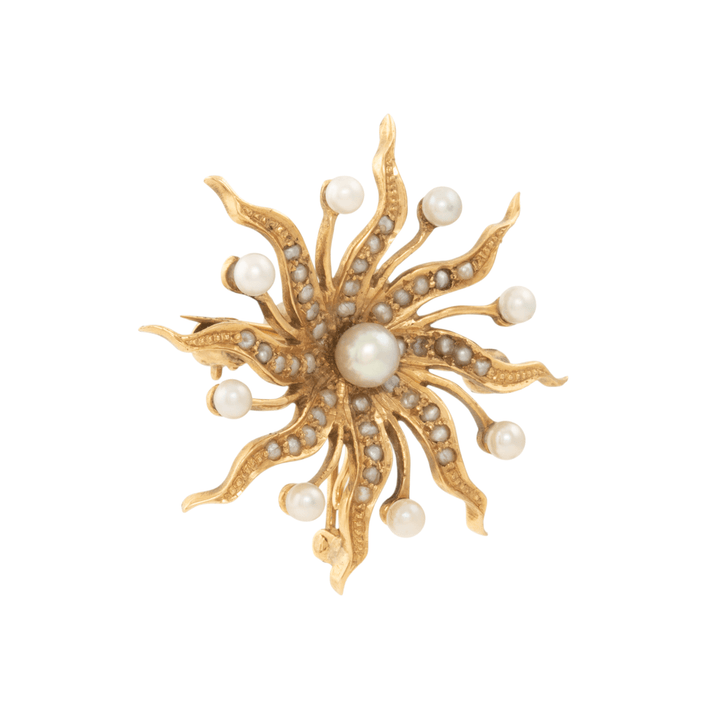 14k Gold x Star Seed Pearl Hybrid Brooch - Kingdom Jewelry