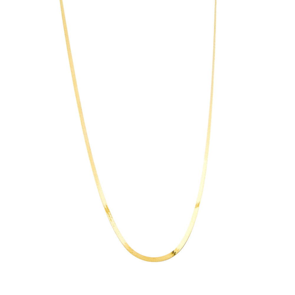 
                  
                    14k Gold x Yellow 3mm Herringbone Chain Necklace - Kingdom Jewelry
                  
                