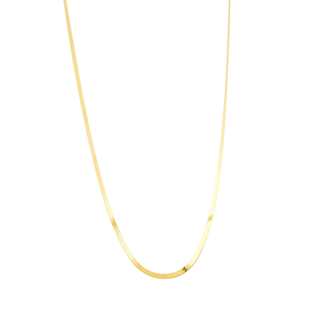 14k Gold x Yellow 3mm Herringbone Chain Necklace - Kingdom Jewelry