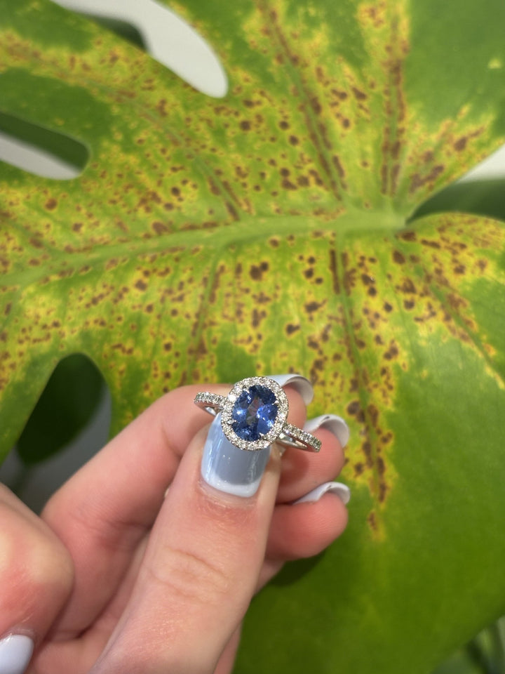 14k White Gold Diamond Halo and Blue Sapphire 'Lunara' Ring - Kingdom Jewelry