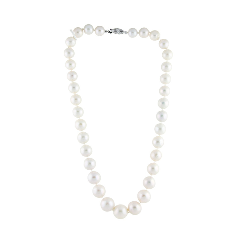 
                      
                        1cm White Fresh Water Pearl Necklace - Kingdom Jewelry
                      
                    