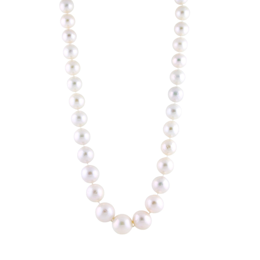 
                      
                        1cm White Fresh Water Pearl Necklace - Kingdom Jewelry
                      
                    