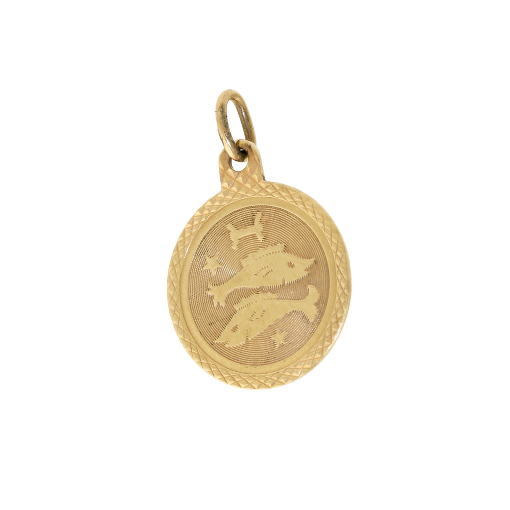 
                  
                    14k Gold x Pisces Charm Pendant
                  
                