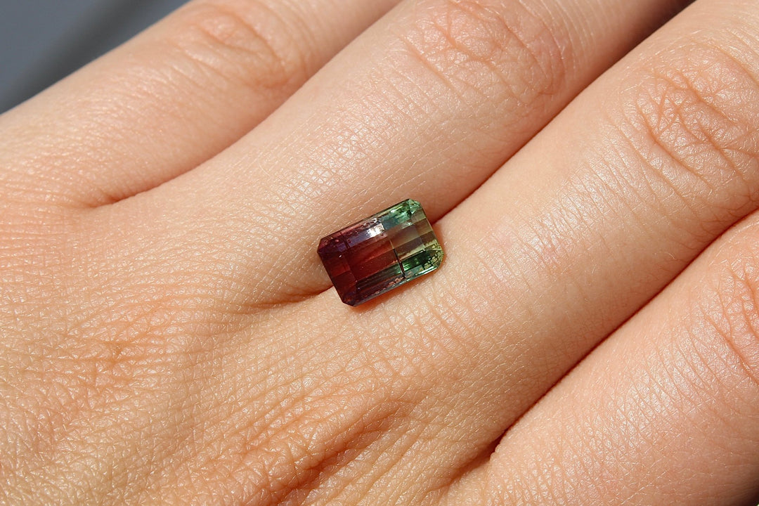 3.63ct Brazilian Bi Colour Tourmaline - Kingdom Jewelry