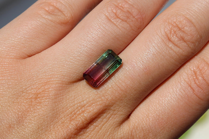 6.06ct Brazilian Bi Colour Tourmaline - Kingdom Jewelry