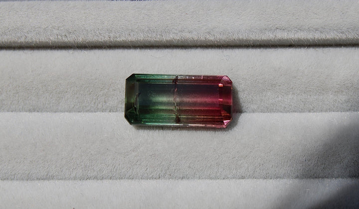 6.06ct Brazilian Bi Colour Tourmaline - Kingdom Jewelry