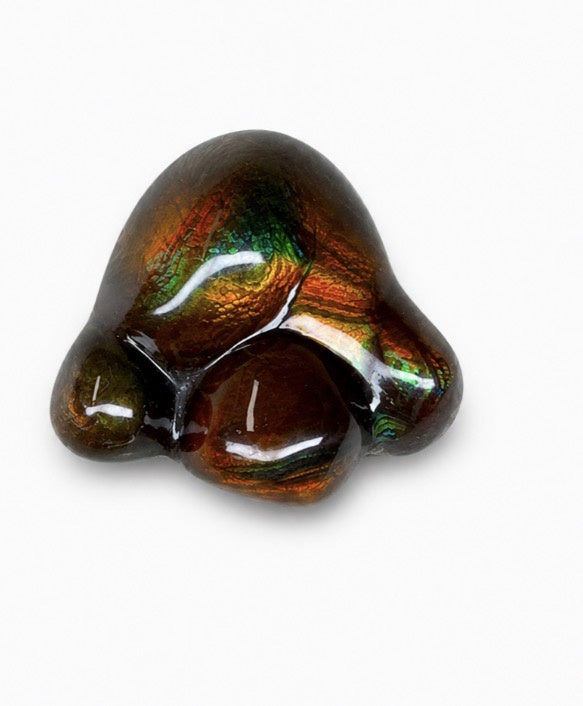 16.60 Hand Cut Collector Fire Agate - By Ryszard Krukowski