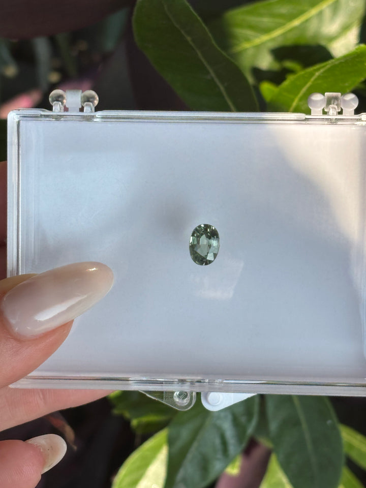 14K Bespoke Robert Green Sapphire + Nat. Dias Ring