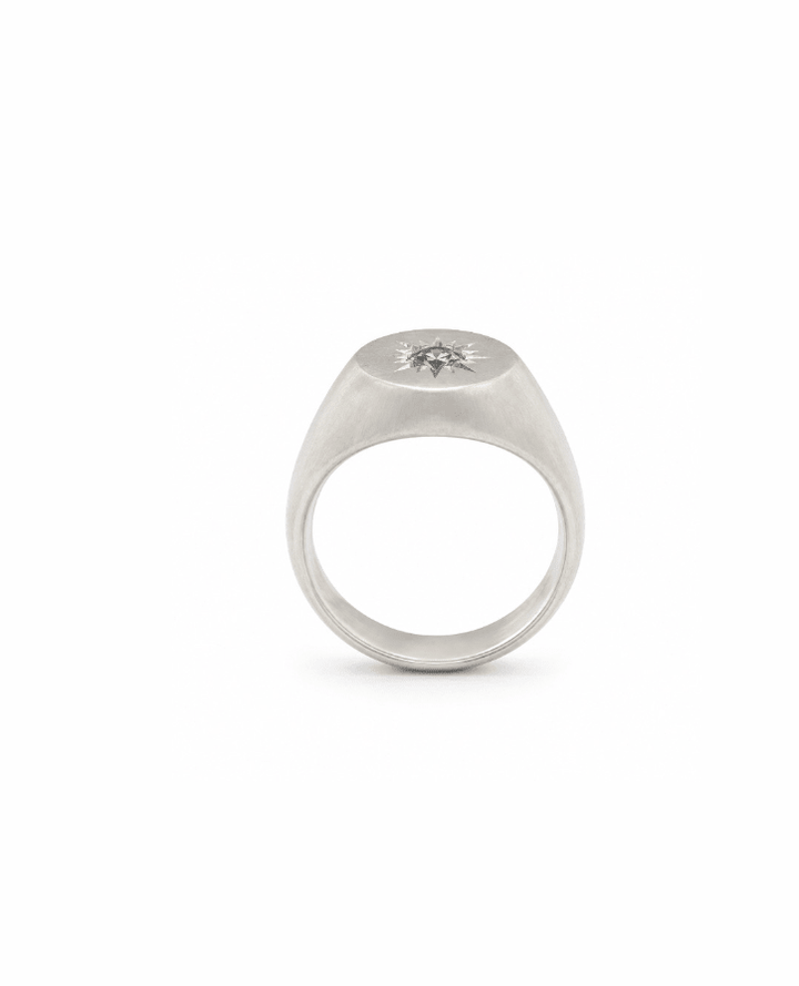 Silver Satin x Montana Sapphire Signet Ring - Kingdom Jewelry