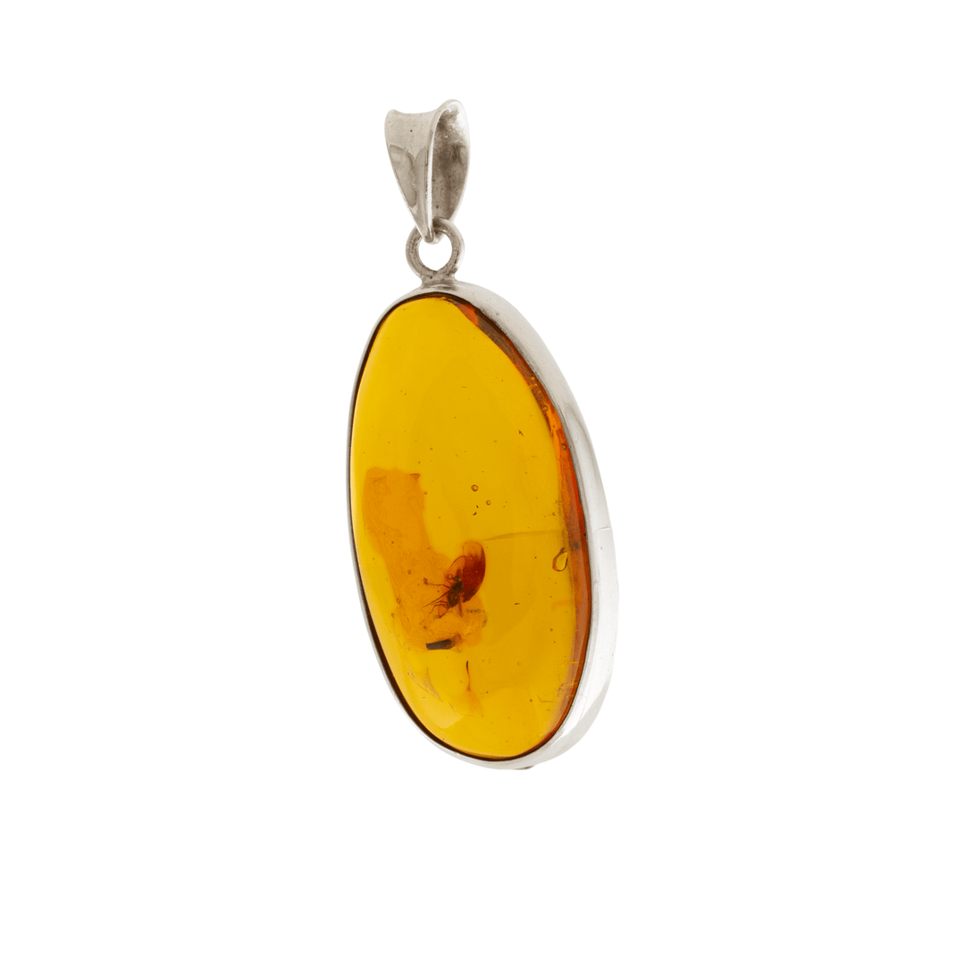 Silver x Insect - Embedded Oval Amber Pendant - Kingdom Jewelry