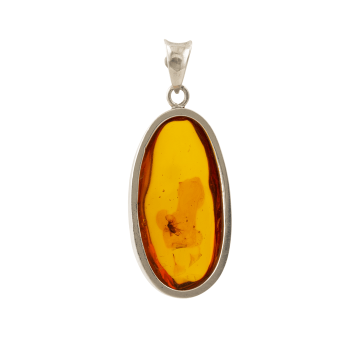 Silver x Insect - Embedded Oval Amber Pendant - Kingdom Jewelry