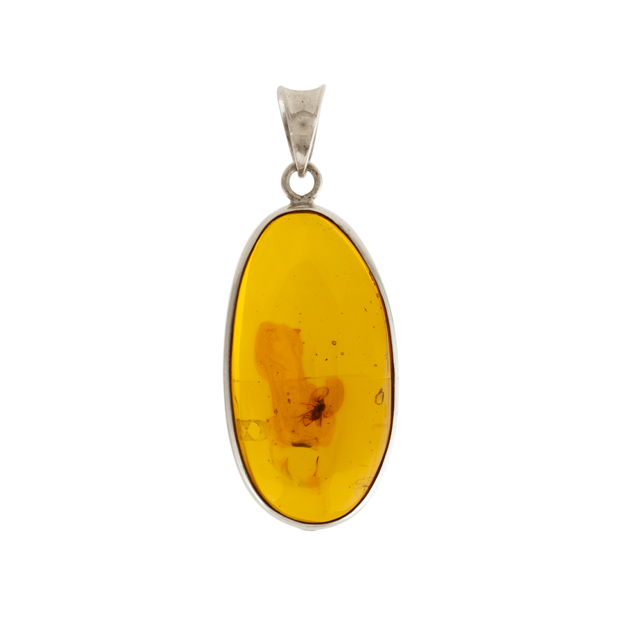 Silver x Insect - Embedded Oval Amber Pendant - Kingdom Jewelry