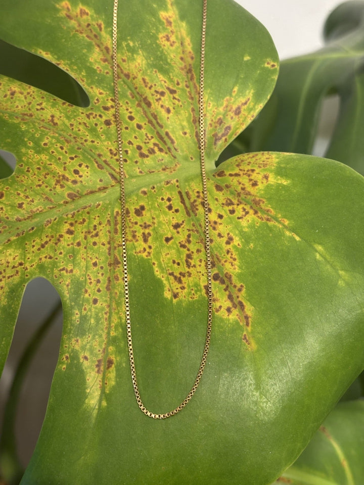 Vintage 18k 22 Inch Box Link - Kingdom Jewelry