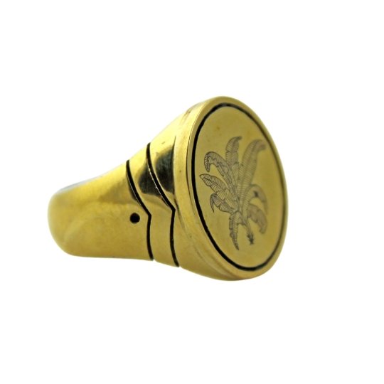 Brass Palm Springs Signet Ring - Kingdom Jewelry