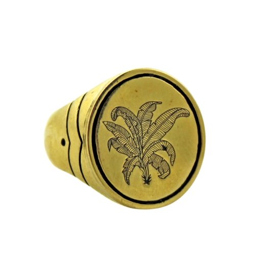 Brass Palm Springs Signet Ring - Kingdom Jewelry