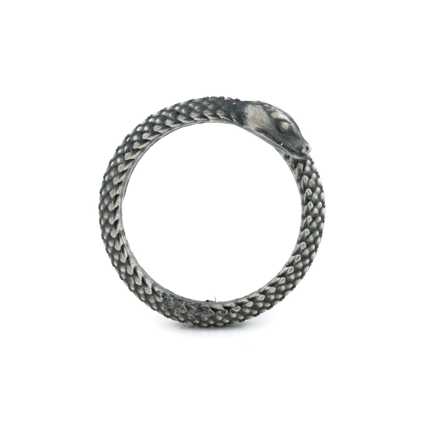 Brushed Silver x "Sleeping Ouroboros" Ring - Kingdom Jewelry
