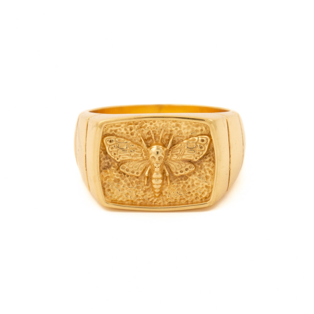 
                      
                        Death Moth Gold Signet Ring - Kingdom Jewelry
                      
                    