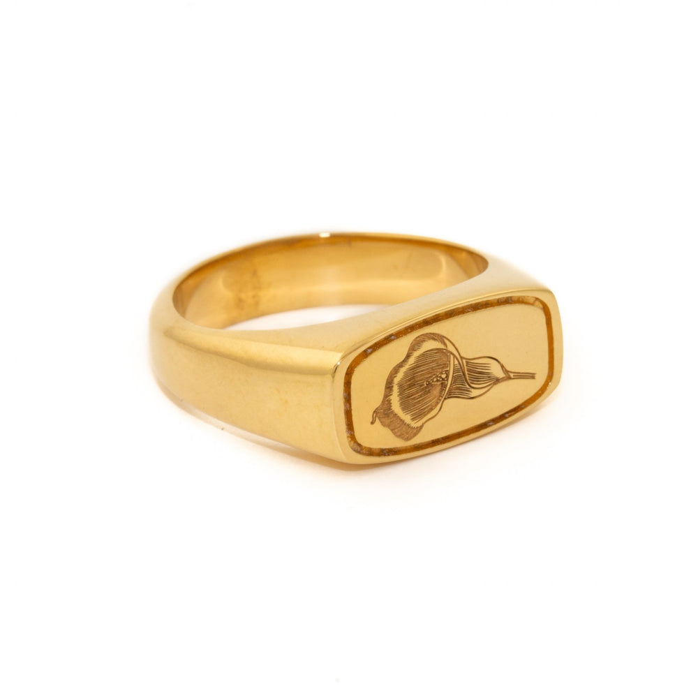 
                      
                        Gold Egyptian Calla Lily - Kingdom Jewelry
                      
                    