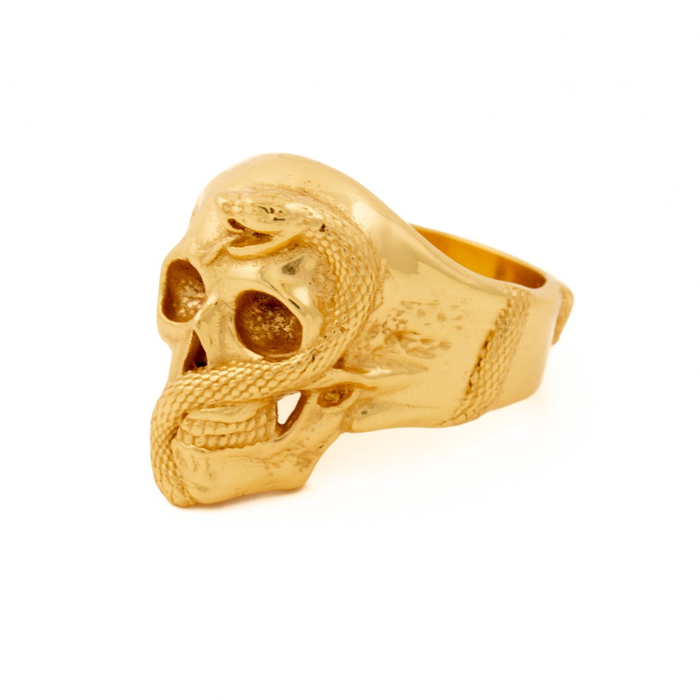 
                      
                        Gold "Jake" Skull Ring - Kingdom Jewelry
                      
                    