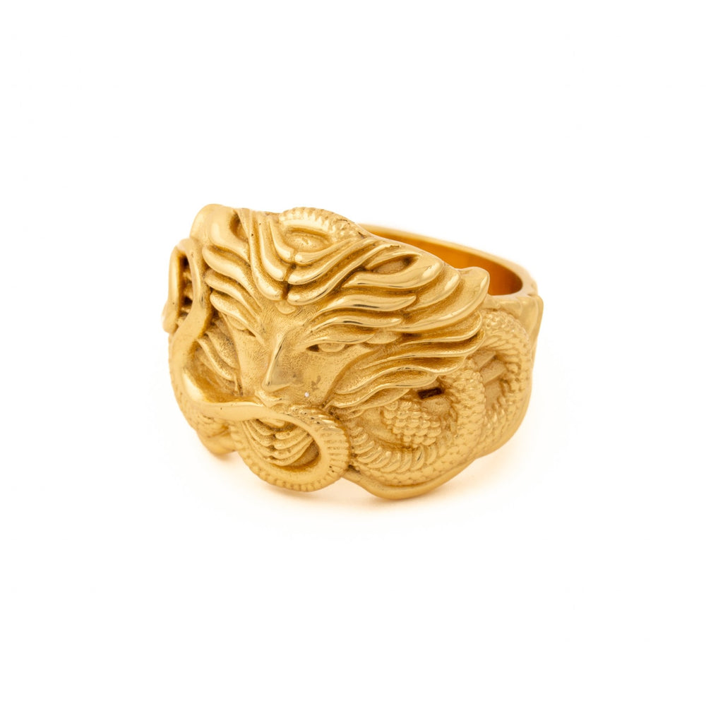 
                      
                        Gold "Serpent Queen Medusa" Ring - Kingdom Jewelry
                      
                    