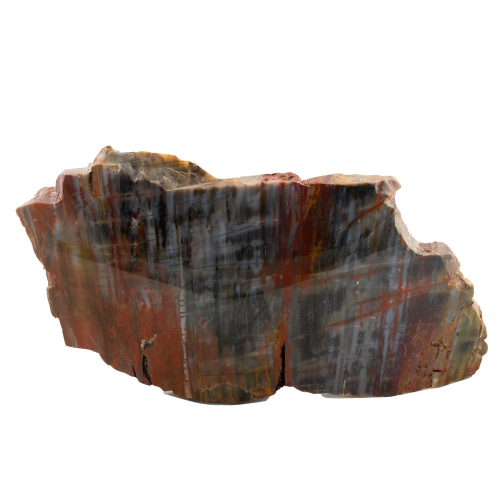 
                      
                        Impressive Petrified Wood Specimen - Kingdom Jewelry
                      
                    