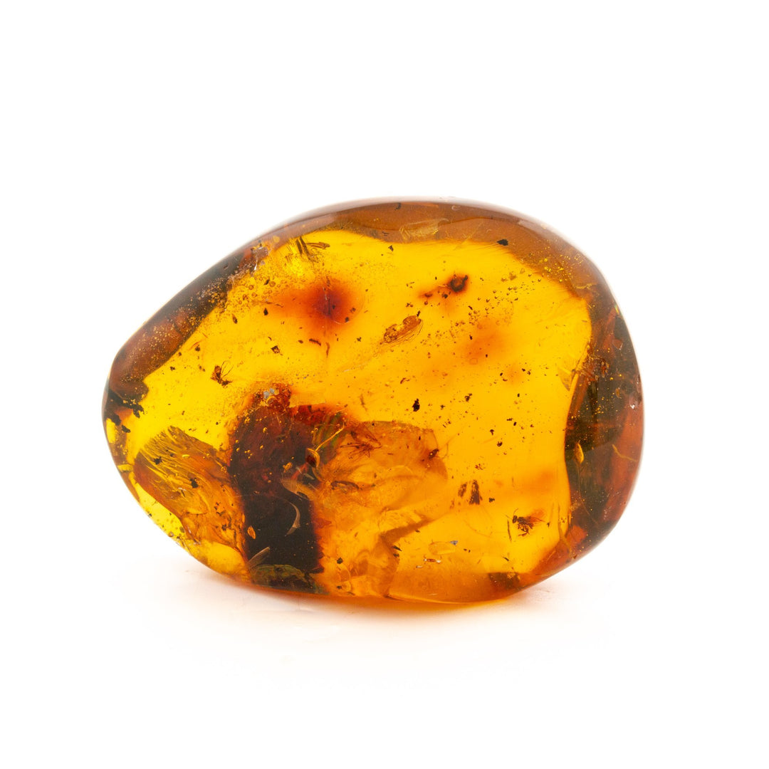 Mexican Amber Mineral Specimen - Kingdom Jewelry