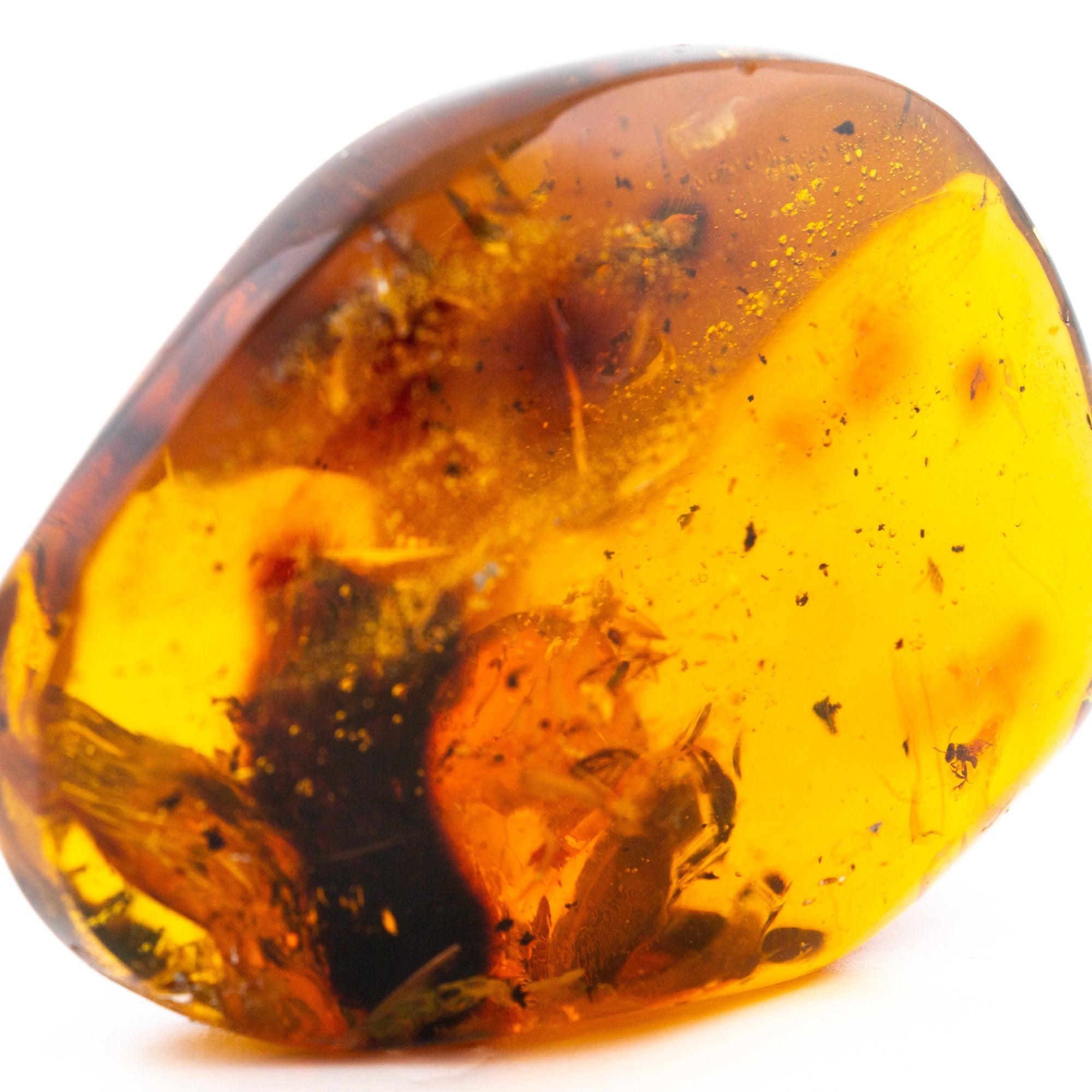 Mexican Amber Mineral Specimen | Kingdom Jewelry