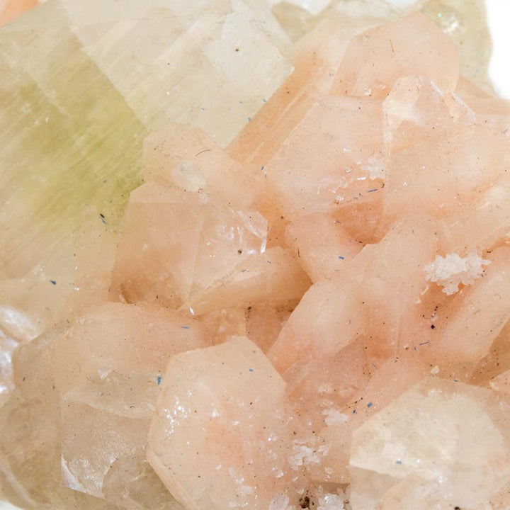 Pink Apophyllite Mineral Specimen - Kingdom Jewelry