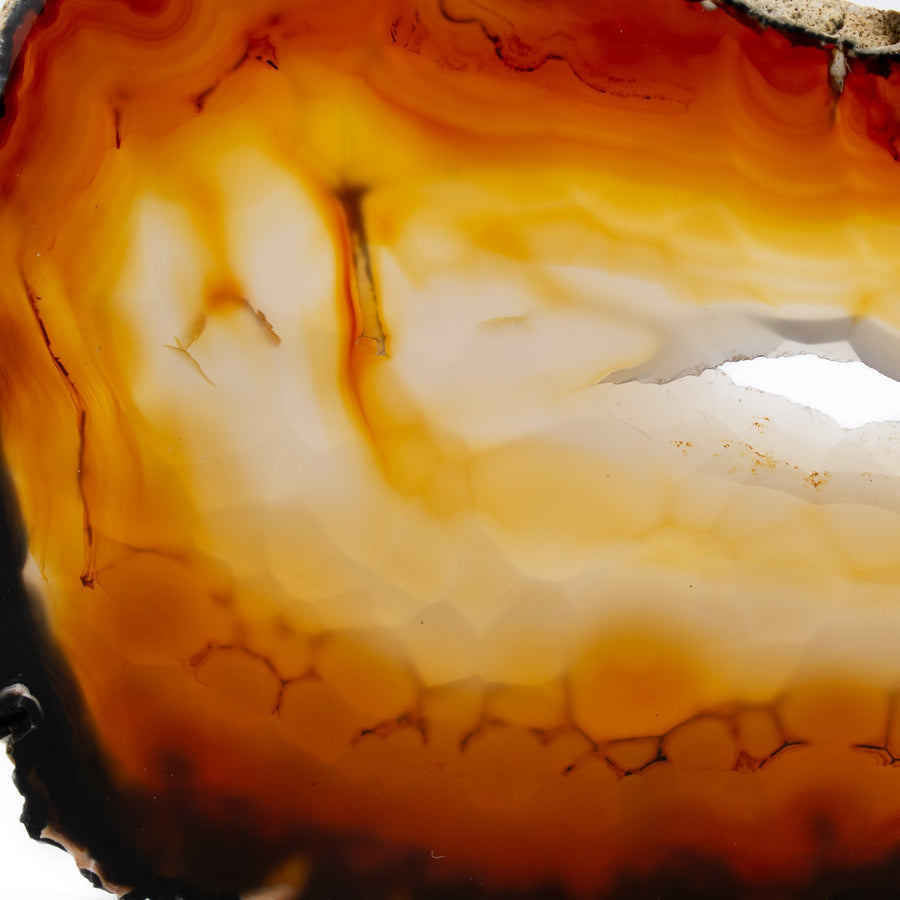 Rich Agate Mineral Specimen - Kingdom Jewelry